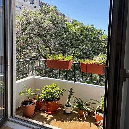 Bright, Modern & In Lagos, Algarve * Lagos